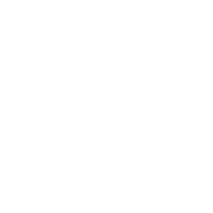 Sales Strategy